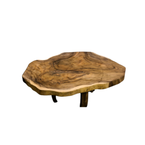 Abstract Salontafel Suar